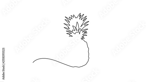 Tropical Pineapple Fruit Continuous Line Art Animation