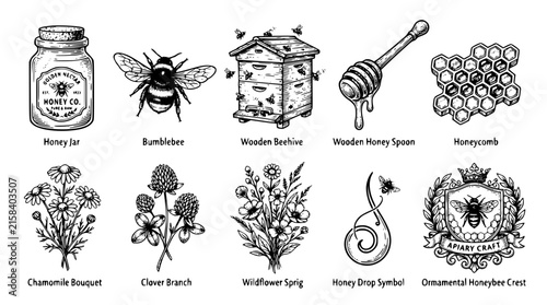 Vintage Honey Jar and Honeybee Botanical Vector Collection with Beehive and Wildflowers