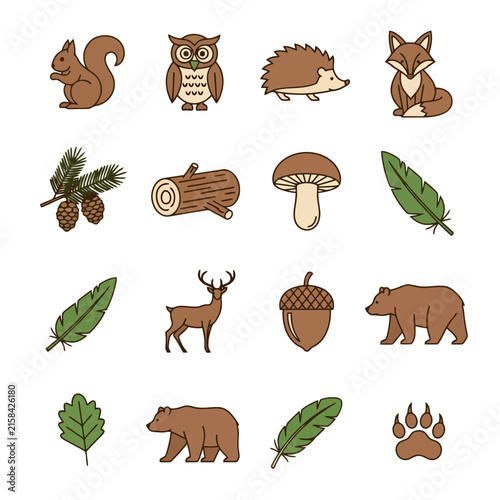 Woodland animals and forest nature icons set with brown and green flat style
