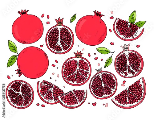 Colorful pomegranate slices with seeds and leaves.