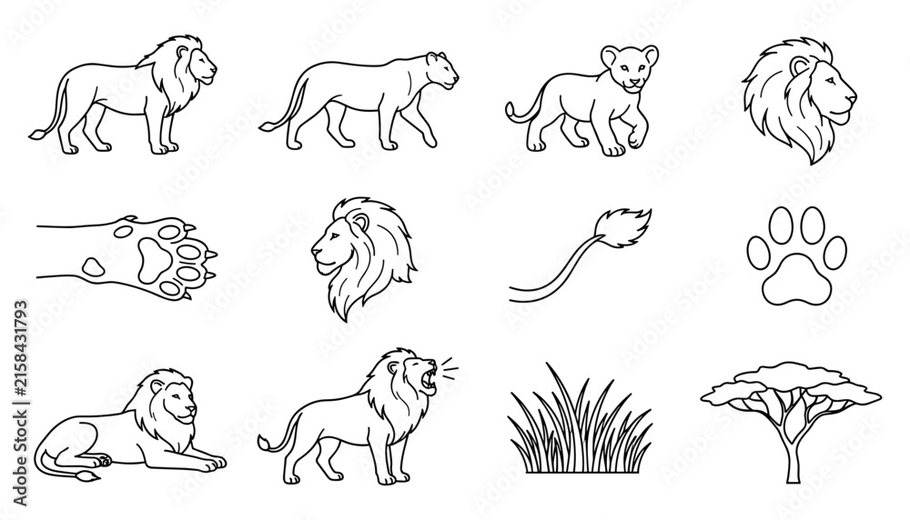Fototapeta premium Lion Icons Set with Paw Prints, Mane, and Savanna Elements