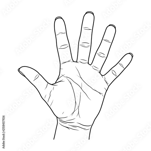 Konstfotografi Black and white line drawing of human hands showing palm and fingers