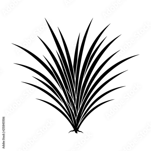 Black silhouette of a palm leaf on white background, nature symbol