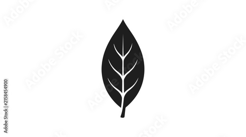 Minimalist Leaf Silhouette Vector