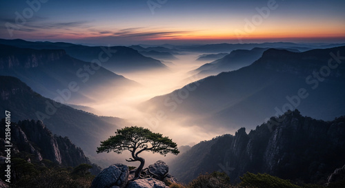 Landscape mountain vista with pine tree standing on rocky cliff overlooking misty valley during early sunrise with dramatic lighting and atmospheric horizon view