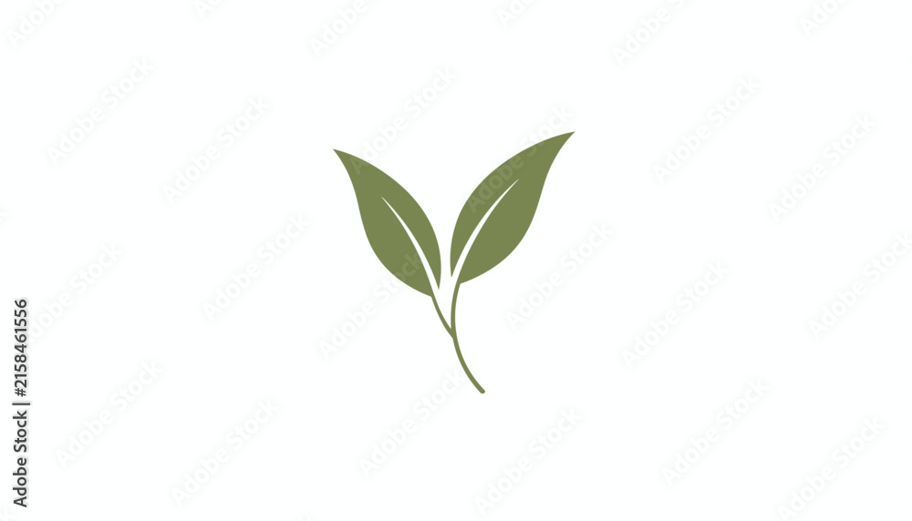 Fototapeta premium Simple minimalist illustration of two green tea leaves on a delicate stem isolated on a pure white background.
