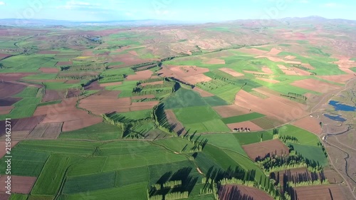 Aerial Spain poplar trees across farmland parcels brown fields rural terrain detail.