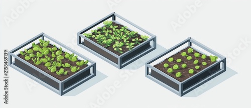 Three raised garden beds with vibrant plants.