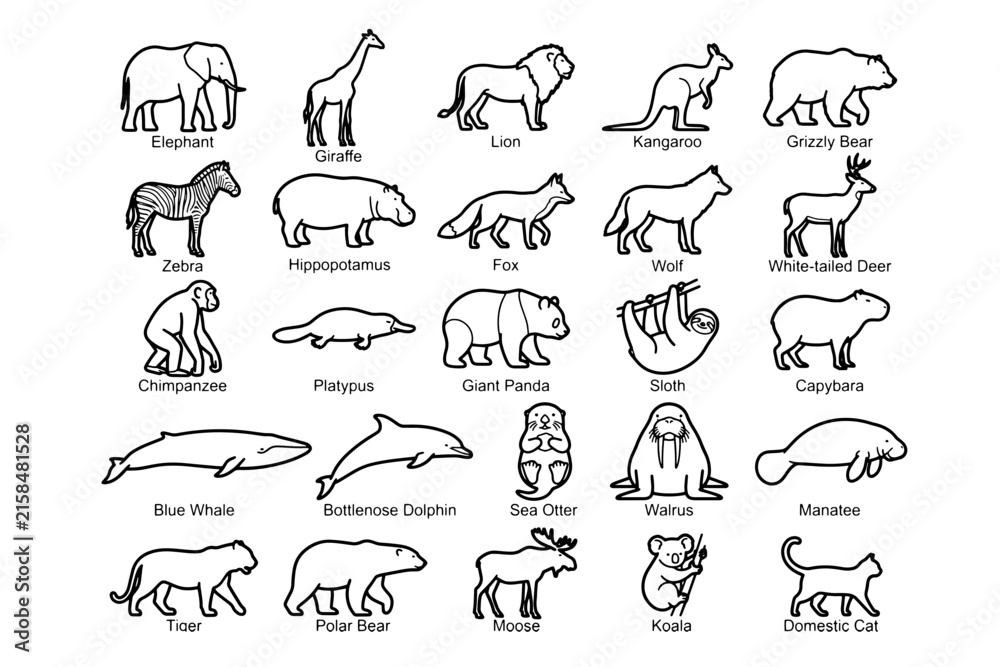 Naklejka premium A collection of black and white line drawings depicting various animals from around the world, each labeled with its name, presented in a grid format.
