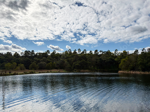 Lake lagoon with natural trees and weather clouds
