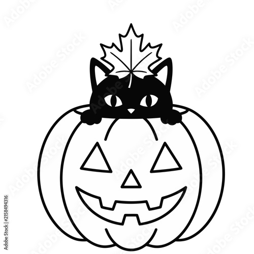 Black Cat Peeking Out of Jack-o'-lantern