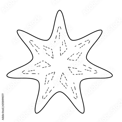 Starfish outline with dashed lines