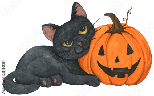 Halloween black cat illustration, cute kitten with pumpkin jack o lantern, spooky autumn holiday decor. hand drawn cartoon character for happy Halloween party.