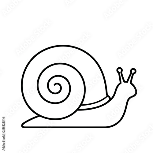 Simple Snail Outline