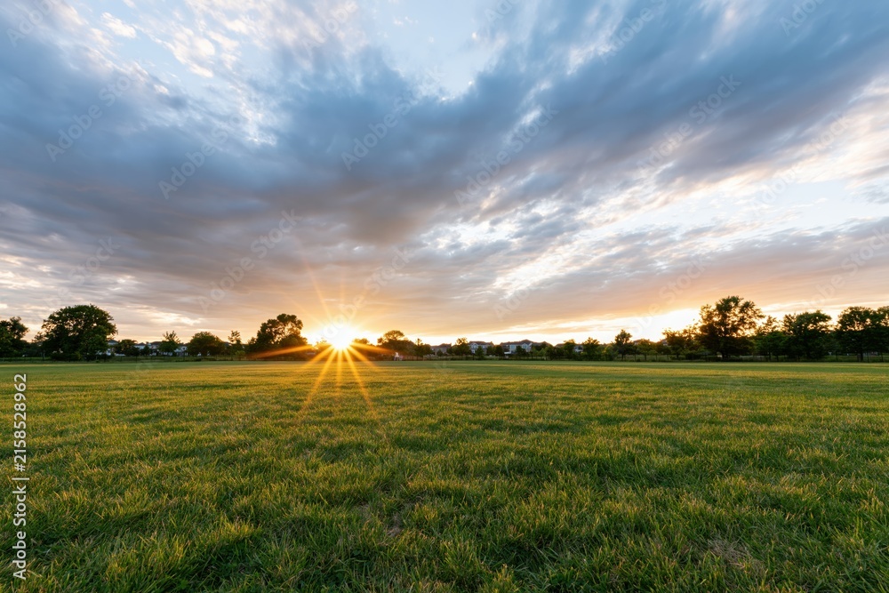 Naklejka premium The Sunrise Over Expansive Grass Field at Distant Horizon with Golden Light