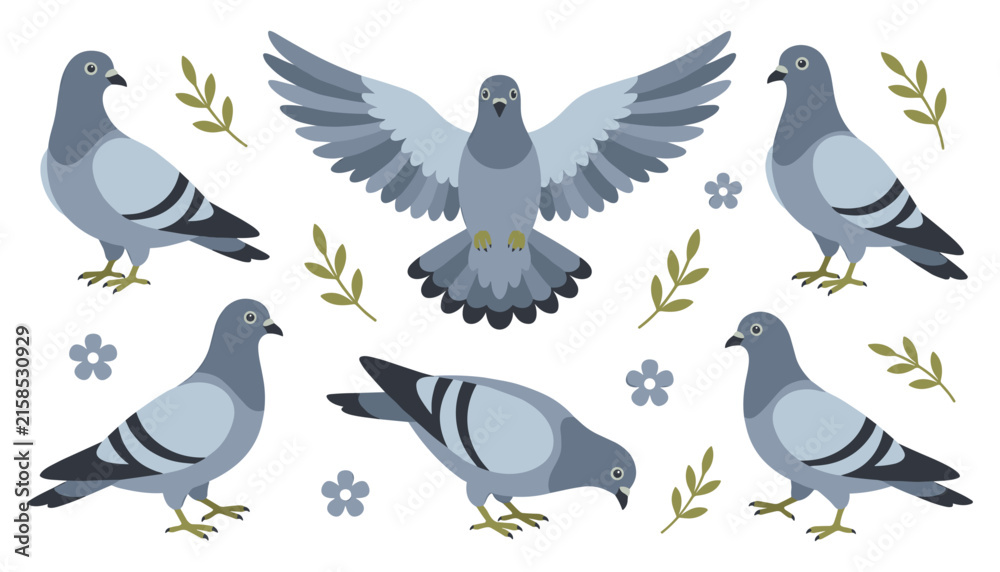 Fototapeta premium Pigeon and Dove Bird Vector Illustration Set with Flying, Standing, and Foraging Poses for Nature, Peace, Wildlife, and Urban Decorative Graphic Designs