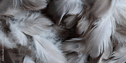Closeup view of soft white and grey feathers piled together forming a dense fluffy background texture.