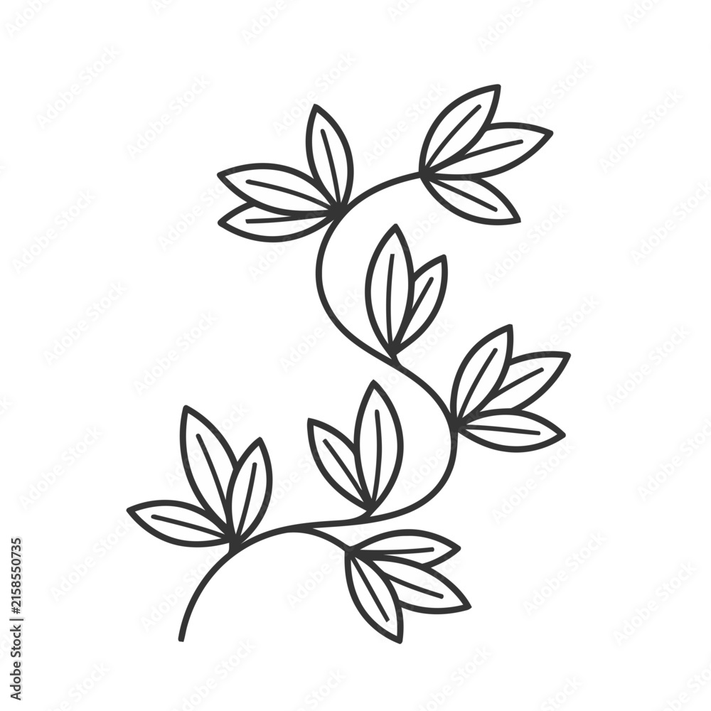 Fototapeta premium Stylized Vine with Leaves