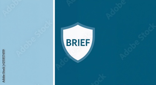 Photo realistic as Briefcase and shield icon with blank area for customizable text - A creative depiction of a briefcase and shield icon featuring a blank area for customizable text concept visual.