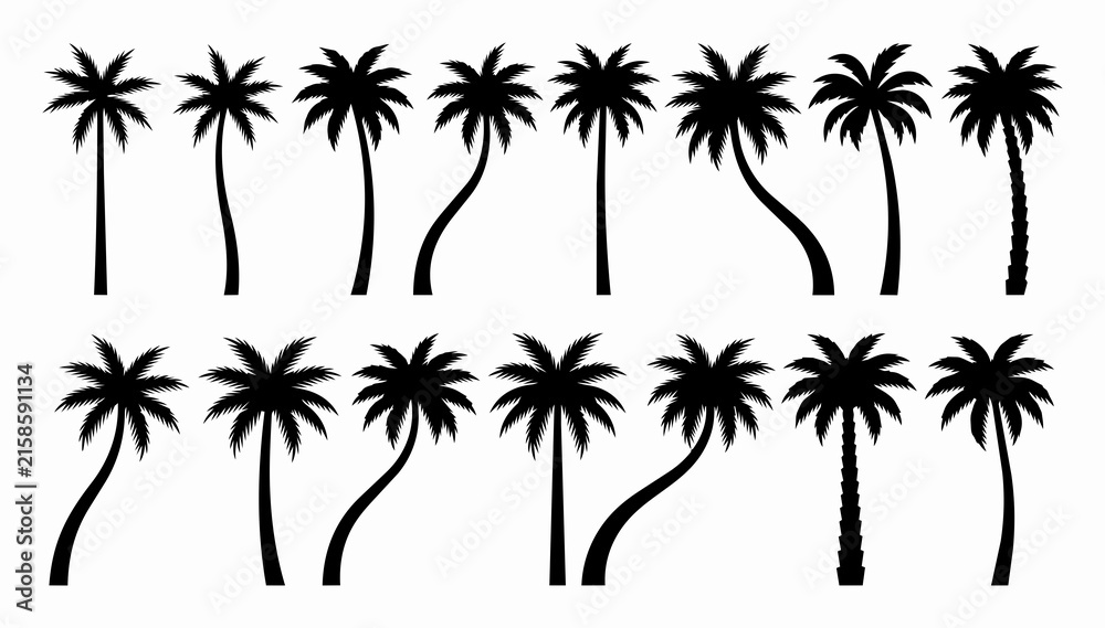 Fototapeta premium Set of black tropical palm tree silhouettes featuring curved coconut palms vector illustration for summer beach design