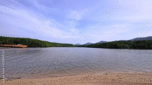 Tropical beach at low tide with mangrove trees rocky coast and exposed roots