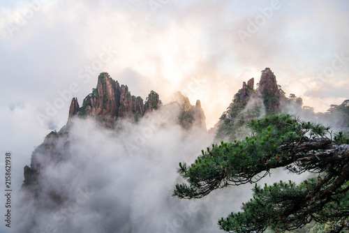 Distinctive granite peaks and windswept pine trees rise above the mountain landscape of Sanqingshan in Jiangxi, China, showcasing the dramatic geology and natural scenery 