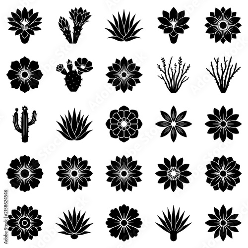 A set of twenty-five black and white depicting various desert plants, blooming cacti, succulents, and agave in a grid layout