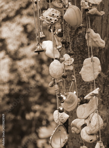 Bild auf Leinwand Handmade Seashell Wind Chime With Bells In Garden