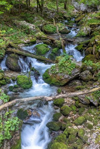 Wasserfall im Hartelsgraben, Nationalpark Gesäuse, Steiermark