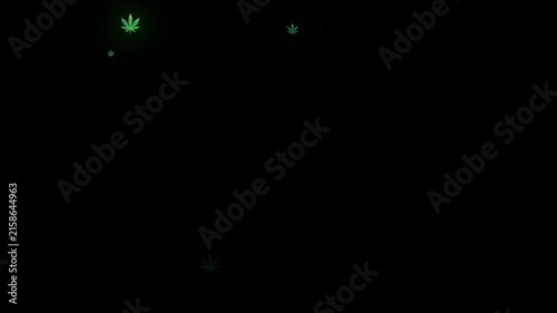 Looping cannabis leaf icons swirling on black background with copy space. Ideal for cannabis industry, market trends, public health topics, and informative infographics.