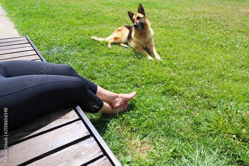 German Shepherd dog lying on green grass lawn with open mouth looking at owner resting on wooden lounge chair
