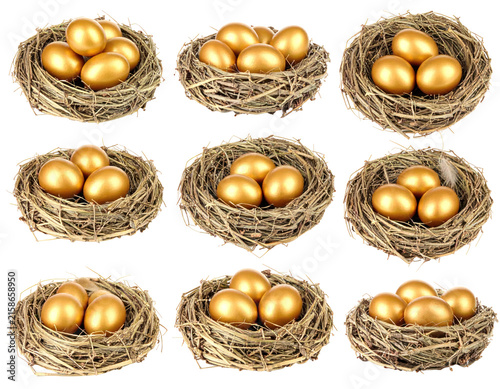 Golden Eggs in Brown Woven Nests Collection on Transparent Background
