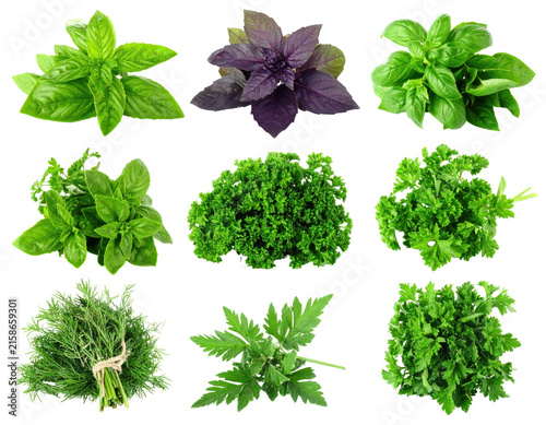 Various Fresh Green And Purple Herbs Isolated On Transparent Background With Close Up View
