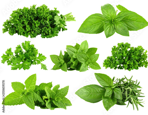 Collection Of Fresh Green Herbs Isolated On Transparent Background Offering Various Culinary Possibilities Featuring Parsley Basil Mint and Rosemary