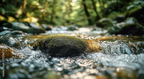 Moss-covered rock sitting in a sunlit shallow stream with sparkling flowing water and blurred green forest background, evoking peaceful tranquility