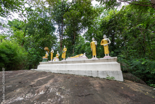 Photography Row of golden Buddha statues in various postures on stone platform surrounded by