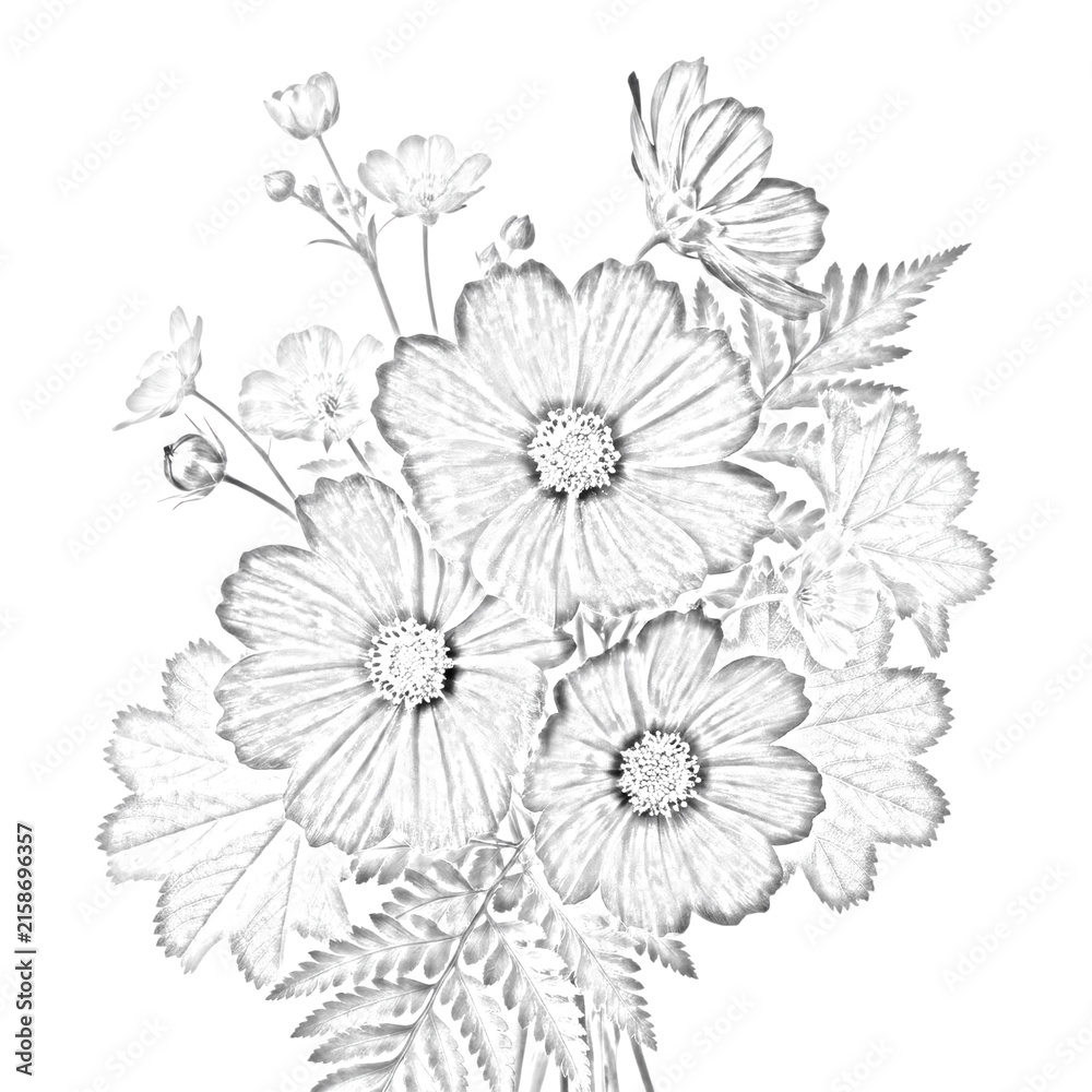 Obraz premium Wildflower arrangement sketch isolated on transparent background