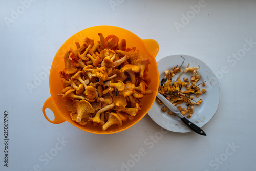 Foto Fresh chanterelles in an orange bowl, on a prepared plate with a knife, ready to cook