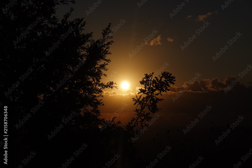 Fototapeta premium Golden Sunset Framed by Dark Tree Silhouettes and Clouds