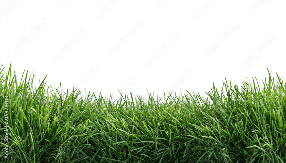 Fototapeta premium A clean white background bordered by lush green grass, ideal for spring or nature marketing designs.