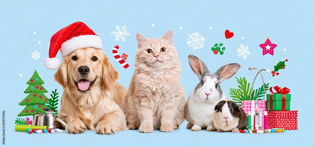 Fototapeta premium In a bright veterinary clinic, a dog, cat, rabbit, and guinea pig enjoy festive holiday decorations with pet care tools nearby.