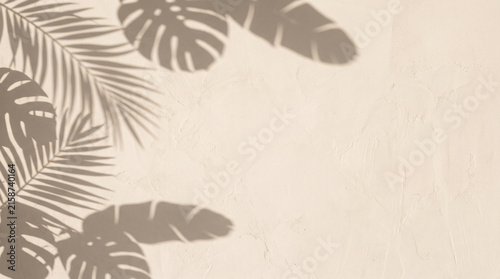 Tropical Leaf Shadows on Warm Plaster Wall