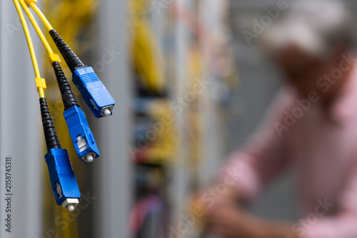 Tapety artystyczne Fiber Optic Patch Cables in a Telecommunications Server Room