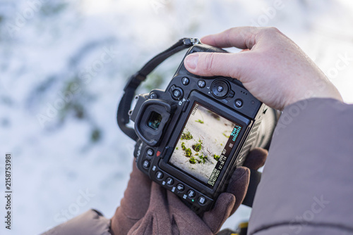 Cuadro en lienzo Photographer hands holding digital camera checking LCD display in snowy winter