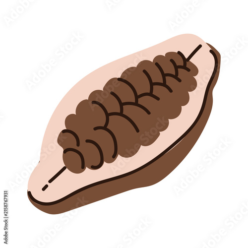 Icon of a halved cacao fruit, isolated on a white background. A new illustration of a fresh cacao fruit for food-related design.