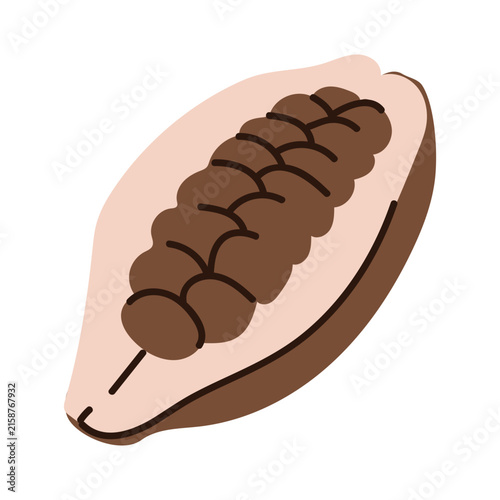 Icon of a halved cacao fruit, isolated on a white background. A new illustration of a fresh cacao fruit for food-related design.