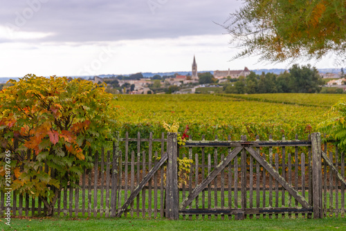 Bordeaux Saint Emilion France fence