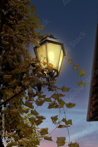 Fotografie Lanterna