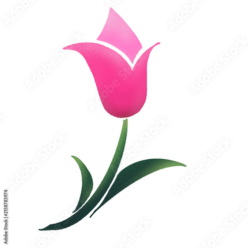 Tulip