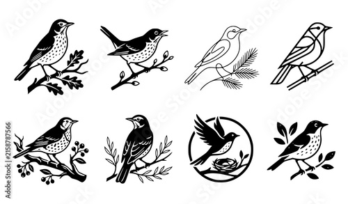 Songbird and Robin on Branch Line Icon Set with Nest and Botanical Leaf Symbols for Nature Educational Designs